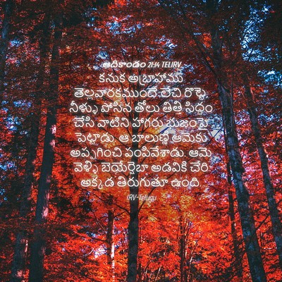 Picture 04 - ఆదికాండం 21:14 TELIRV - కనుక అబ్రాహాము - Bible Verse Picture
