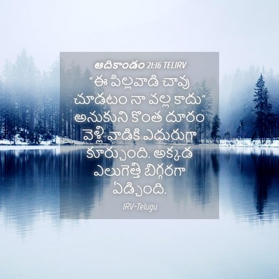 Picture 04 - ఆదికాండం 21:16 TELIRV - “ఈ పిల్లవాడి చావు - Bible Verse Picture