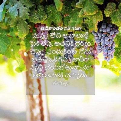 Picture 04 - ఆదికాండం 21:18 TELIRV - నువ్వు లేచి ఆ - Bible Verse Picture