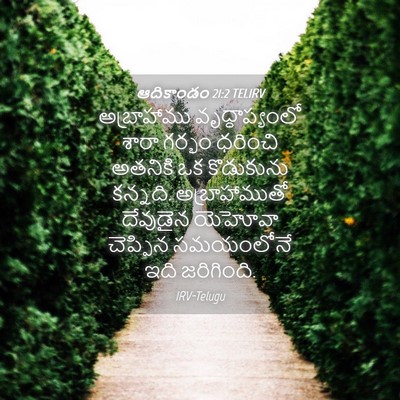 Picture 04 - ఆదికాండం 21:2 TELIRV - అబ్రాహాము - Bible Verse Picture