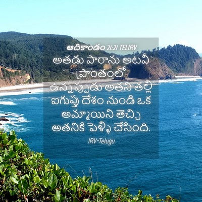 Picture 04 - ఆదికాండం 21:21 TELIRV - అతడు పారాను అటవీ - Bible Verse Picture