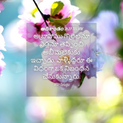 Picture 04 - ఆదికాండం 21:27 TELIRV - అబ్రాహాము - Bible Verse Picture