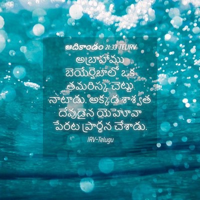 Picture 04 - ఆదికాండం 21:33 TELIRV - అబ్రాహాము - Bible Verse Picture