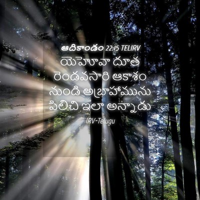 Picture 04 - ఆదికాండం 22:15 TELIRV - యెహోవా దూత - Bible Verse Picture