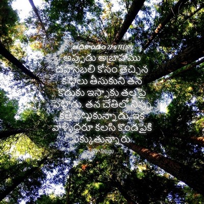 Picture 04 - ఆదికాండం 22:6 TELIRV - అప్పుడు అబ్రాహాము - Bible Verse Picture
