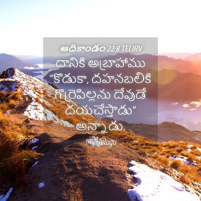 Picture 04 - ఆదికాండం 22:8 TELIRV - దానికి అబ్రాహాము - Bible Verse Picture