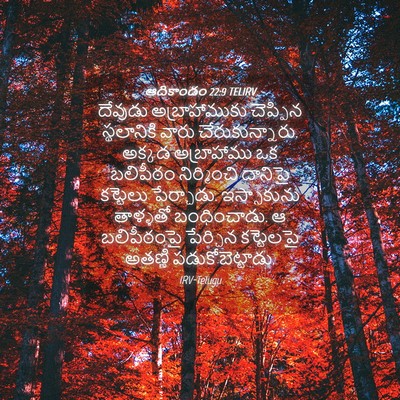 Picture 04 - ఆదికాండం 22:9 TELIRV - దేవుడు - Bible Verse Picture