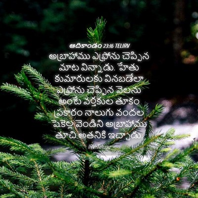 Picture 04 - ఆదికాండం 23:16 TELIRV - అబ్రాహాము ఎఫ్రోను - Bible Verse Picture