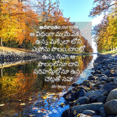 Picture 04 - ఆదికాండం 23:17 TELIRV - ఆ విధంగా మమ్రే - Bible Verse Picture