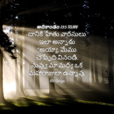 Picture 04 - ఆదికాండం 23:5 TELIRV - దానికి హేతు - Bible Verse Picture
