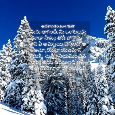 Picture 04 - ఆదికాండం 24:44 TELIRV - “మీరు తాగండి, మీ - Bible Verse Picture