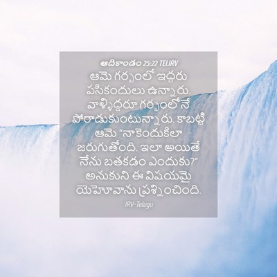 Picture 04 - ఆదికాండం 25:22 TELIRV - ఆమె గర్భంలో - Bible Verse Picture