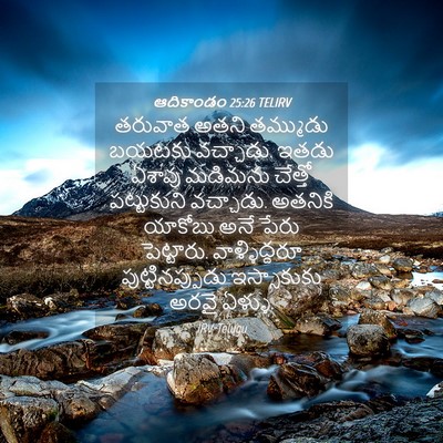 Picture 04 - ఆదికాండం 25:26 TELIRV - తరువాత అతని - Bible Verse Picture
