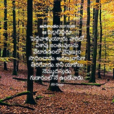 Picture 04 - ఆదికాండం 25:27 TELIRV - ఆ పిల్లలిద్దరూ - Bible Verse Picture
