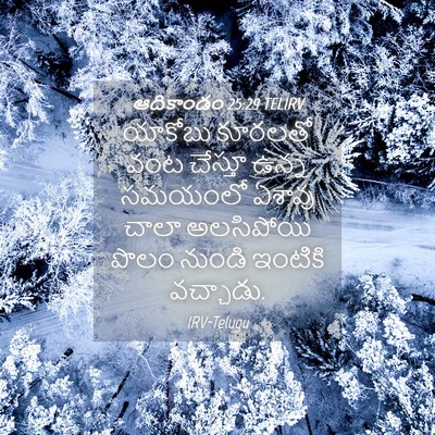 Picture 04 - ఆదికాండం 25:29 TELIRV - యాకోబు కూరలతో వంట - Bible Verse Picture