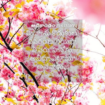 Picture 04 - ఆదికాండం 25:4 TELIRV - మిద్యాను కొడుకులు - Bible Verse Picture