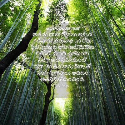 Picture 04 - ఆదికాండం 26:8 TELIRV - అతడు చాలా రోజులు - Bible Verse Picture