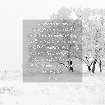 Picture 04 - ఆదికాండం 27:1 TELIRV - ఇస్సాకు బాగా - Bible Verse Picture