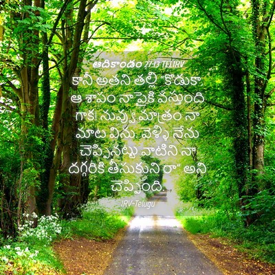 Picture 04 - ఆదికాండం 27:13 TELIRV - కానీ అతని తల్లి - Bible Verse Picture