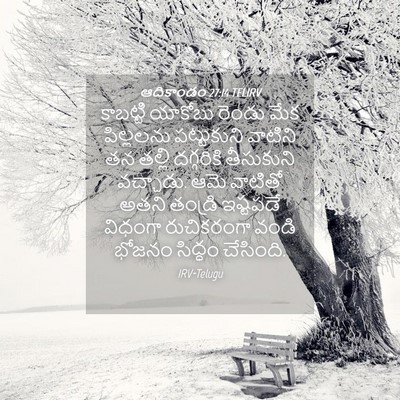Picture 04 - ఆదికాండం 27:14 TELIRV - కాబట్టి యాకోబు - Bible Verse Picture