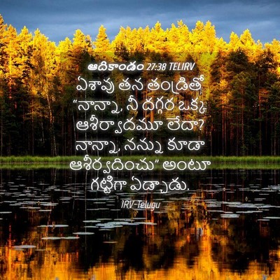 Picture 04 - ఆదికాండం 27:38 TELIRV - ఏశావు తన తండ్రితో - Bible Verse Picture