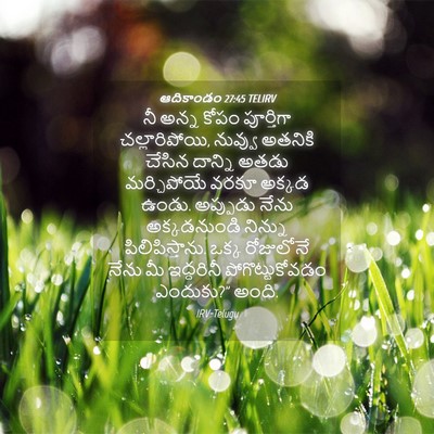 Picture 04 - ఆదికాండం 27:45 TELIRV - నీ అన్న కోపం - Bible Verse Picture