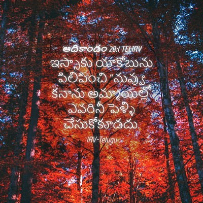 Picture 04 - ఆదికాండం 28:1 TELIRV - ఇస్సాకు యాకోబును - Bible Verse Picture