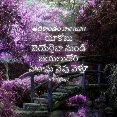 Picture 04 - ఆదికాండం 28:10 TELIRV - యాకోబు బెయేర్షెబా - Bible Verse Picture