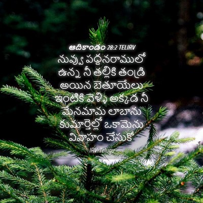 Picture 04 - ఆదికాండం 28:2 TELIRV - నువ్వు - Bible Verse Picture