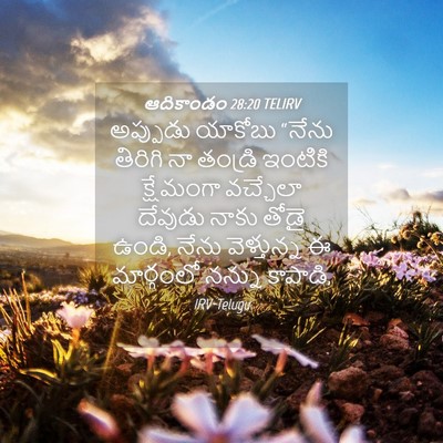 Picture 04 - ఆదికాండం 28:20 TELIRV - అప్పుడు యాకోబు - Bible Verse Picture