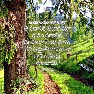 Picture 04 - ఆదికాండం 28:21 TELIRV - తినడానికి ఆహారమూ - Bible Verse Picture