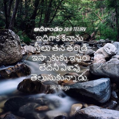Picture 04 - ఆదికాండం 28:8 TELIRV - ఇదిగాక కనాను - Bible Verse Picture