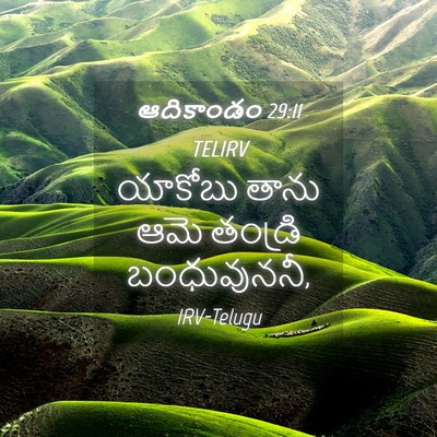 Picture 04 - ఆదికాండం 29:11 TELIRV - యాకోబు తాను ఆమె - Bible Verse Picture