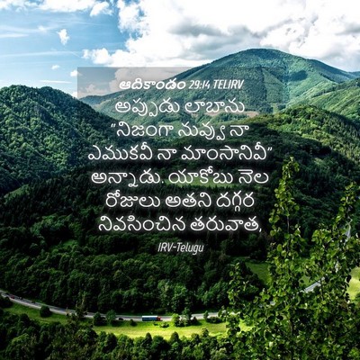Picture 04 - ఆదికాండం 29:14 TELIRV - అప్పుడు లాబాను - Bible Verse Picture