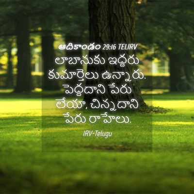 Picture 04 - ఆదికాండం 29:16 TELIRV - లాబానుకు ఇద్దరు - Bible Verse Picture