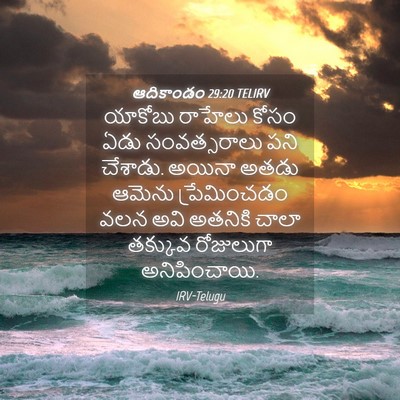 Picture 04 - ఆదికాండం 29:20 TELIRV - యాకోబు రాహేలు - Bible Verse Picture