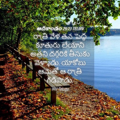Picture 04 - ఆదికాండం 29:23 TELIRV - రాత్రి వేళ తన - Bible Verse Picture