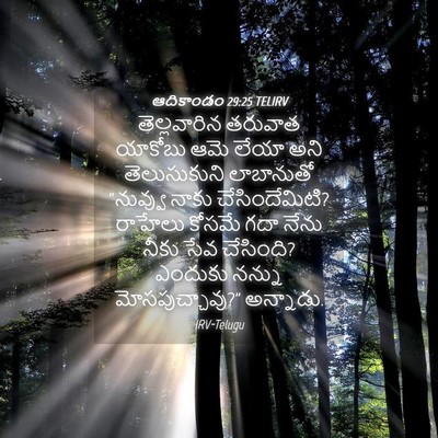 Picture 04 - ఆదికాండం 29:25 TELIRV - తెల్లవారిన తరువాత - Bible Verse Picture