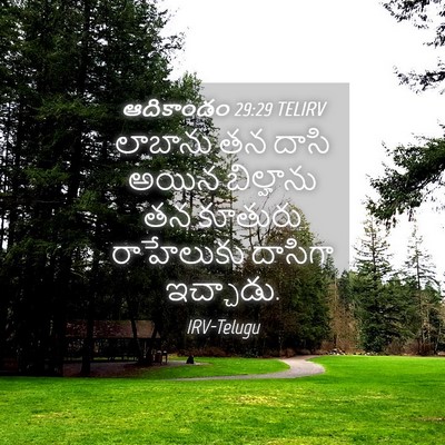 Picture 04 - ఆదికాండం 29:29 TELIRV - లాబాను తన దాసి - Bible Verse Picture