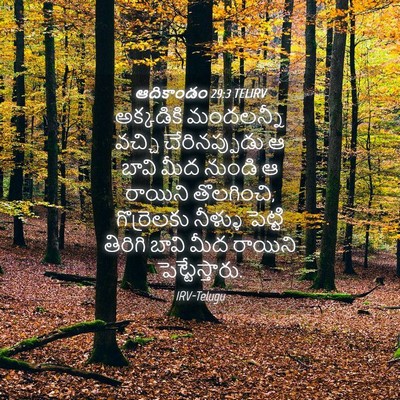 Picture 04 - ఆదికాండం 29:3 TELIRV - అక్కడికి మందలన్నీ - Bible Verse Picture