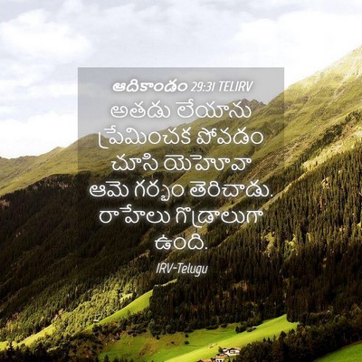 Picture 04 - ఆదికాండం 29:31 TELIRV - అతడు లేయాను - Bible Verse Picture