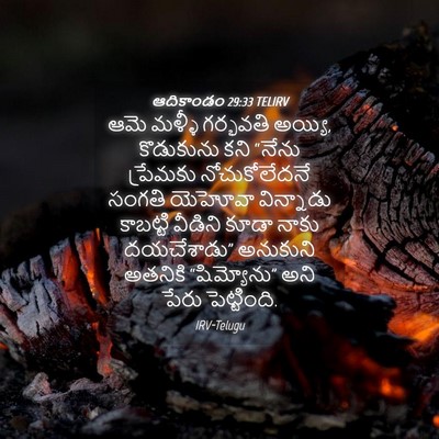 Picture 04 - ఆదికాండం 29:33 TELIRV - ఆమె మళ్ళీ గర్భవతి - Bible Verse Picture