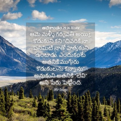 Picture 04 - ఆదికాండం 29:34 TELIRV - ఆమె మళ్ళీ గర్భవతి - Bible Verse Picture