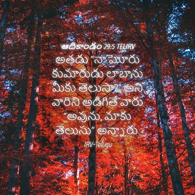 Picture 04 - ఆదికాండం 29:5 TELIRV - అతడు “నాహోరు - Bible Verse Picture