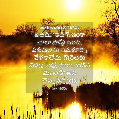 Picture 04 - ఆదికాండం 29:7 TELIRV - అతడు “ఇదిగో, ఇంకా - Bible Verse Picture