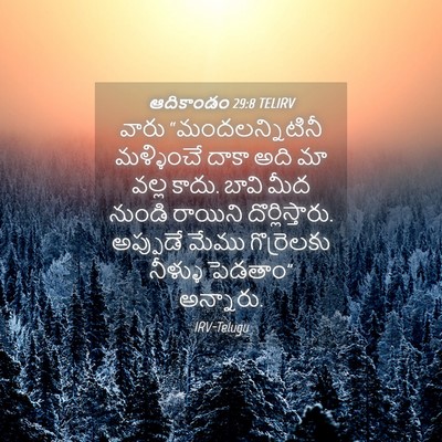 Picture 04 - ఆదికాండం 29:8 TELIRV - వారు - Bible Verse Picture