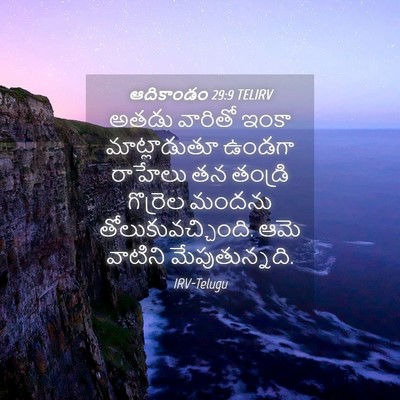 Picture 04 - ఆదికాండం 29:9 TELIRV - అతడు వారితో ఇంకా - Bible Verse Picture