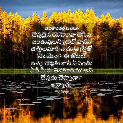 Picture 04 - ఆదికాండం 3:1 TELIRV - దేవుడైన యెహోవా - Bible Verse Picture