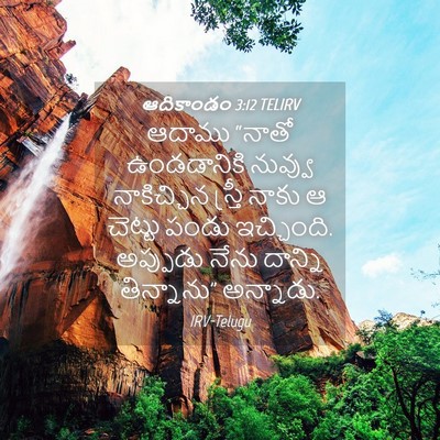 Picture 04 - ఆదికాండం 3:12 TELIRV - ఆదాము “నాతో - Bible Verse Picture