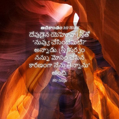 Picture 04 - ఆదికాండం 3:13 TELIRV - దేవుడైన యెహోవా - Bible Verse Picture
